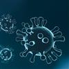 Bilde som viser en illustrasjon av koronavirus